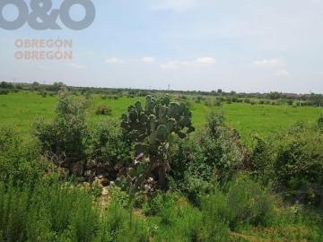 Terreno en venta en Lagunillas, León