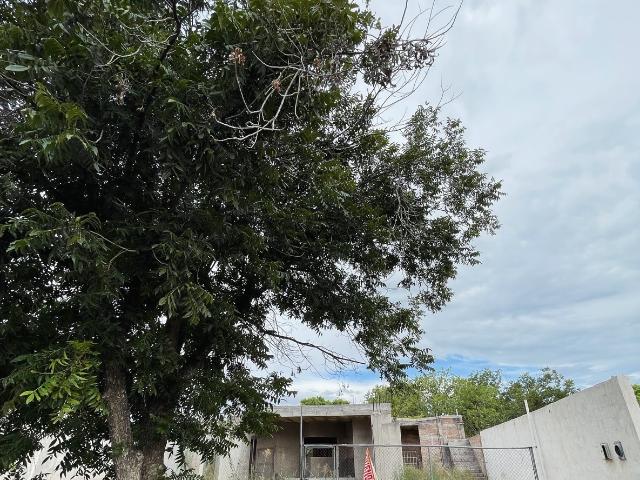 Terreno en venta en Las Trojes, Torreón, Coahuila de Zaragoza