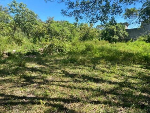 Terreno en venta en Las Vivianas, Tlayacapan, Morelos