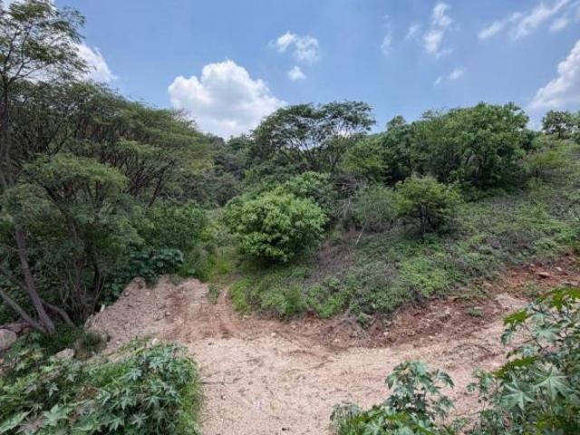 Terreno en venta en Las Cañadas Zapopan Jalisco