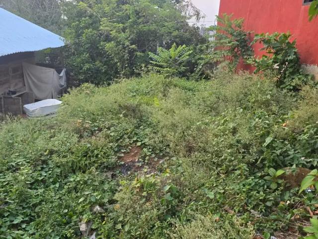 Terreno en venta en Las Flores, Teapa, Tabasco