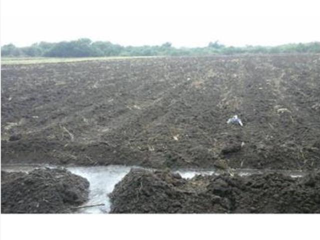 Terreno en venta en Las Margaritas, San Andrés Tuxtla, Veracruz de Ignacio de la Llave