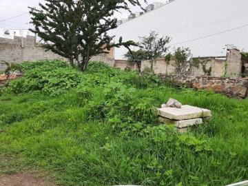 Terreno en venta en las Pintas Tlaquepaque