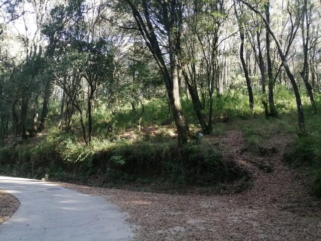 Terreno en venta en Laureles, Isidro Fabela, México