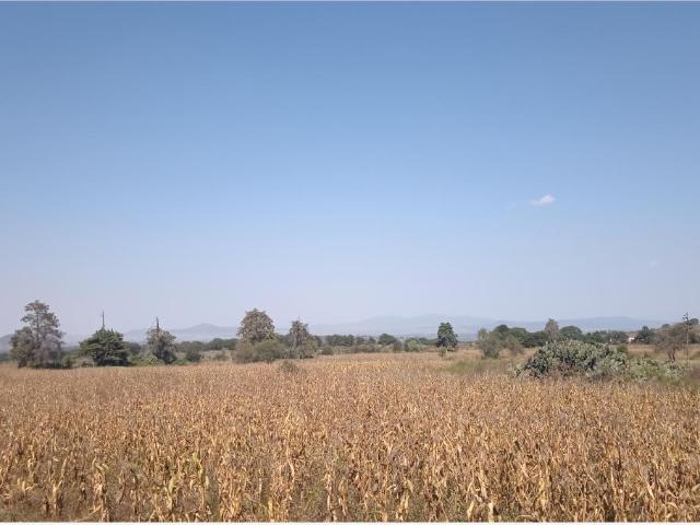 Terreno en venta en Lázaro Cárdenas San Rafael, Polotitlán, México