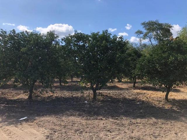 Terreno en venta en Linares Nuevo Le?n