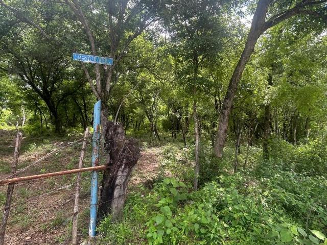 Terreno EN VENTA EN LINARES NUEVO LEON