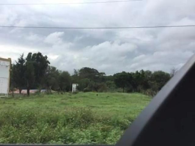 Terreno en Venta en Linares Nuevo Leon