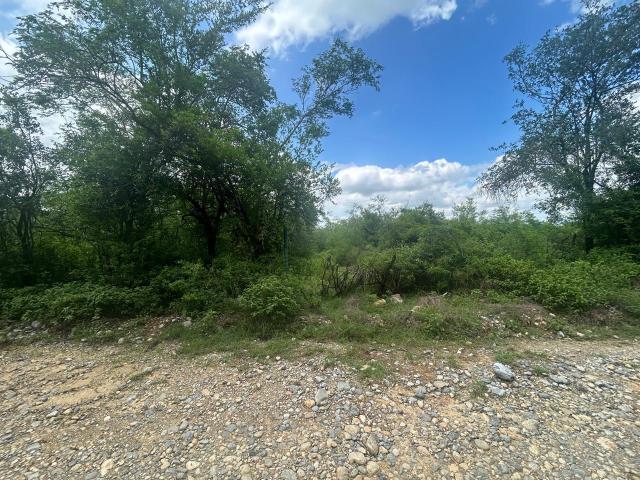 Terreno EN VENTA EN LINARES NUEVO LEON