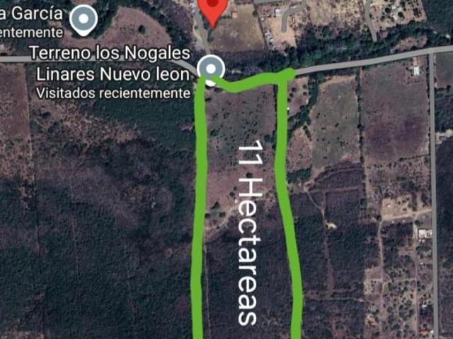 Terreno en VENTA en Linares, Nuevo León