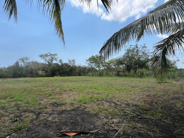 TERRENO EN VENTA EN LLANO DE BUSTOS, VER