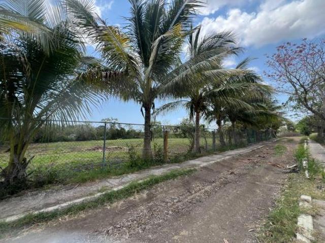 TERRENO EN VENTA EN LLANO DE BUSTOS, VER