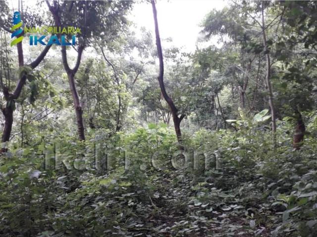 Terreno en venta en Loma Alta, Poza Rica de Hidalgo, Veracruz de Ignacio de la Llave