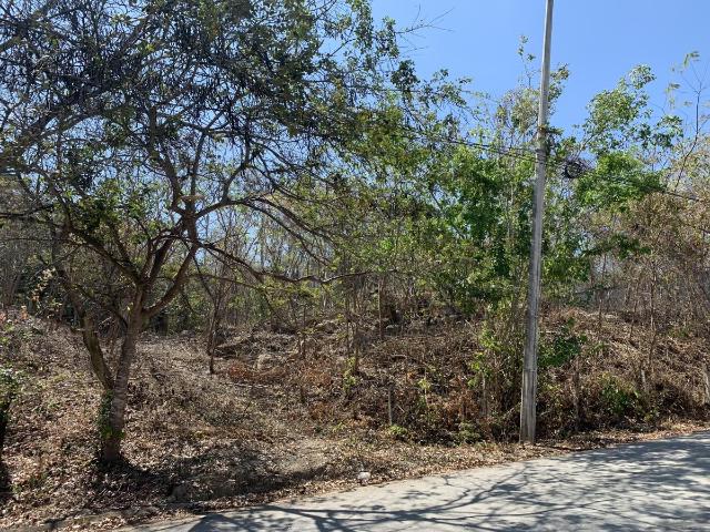 Terreno en venta en Lomas de Mactumatza, Tuxtla Gutiérrez, Chiapas