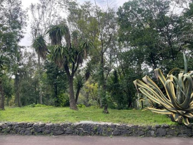 Terreno en Venta en Lomas de Chapultepec