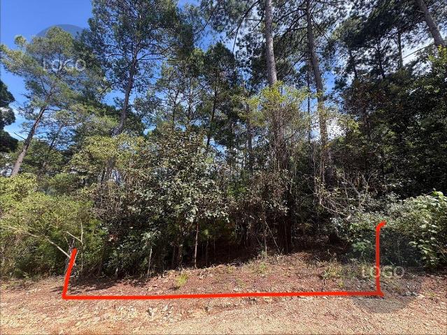 Terreno en Venta en Lomas de Chiapas EN PAGOS!