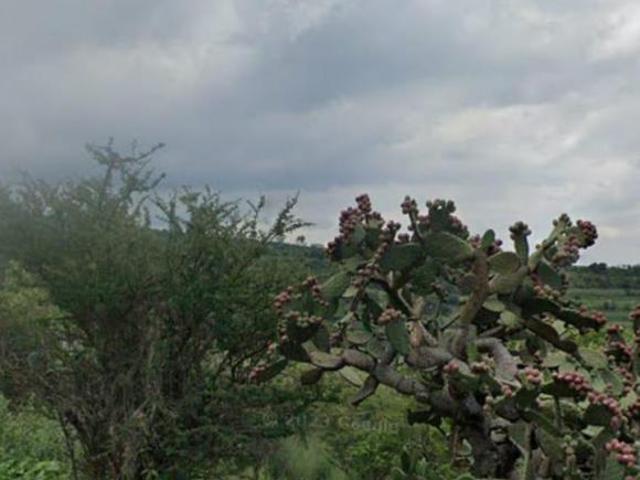 Terreno en venta en Lomas de La Cantera Tepeji del Rìo Hidalgo