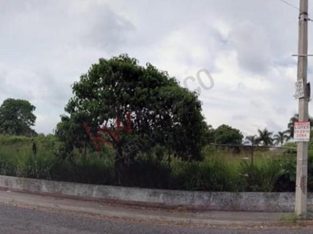 Terreno en Venta en Lomas de la Selva, Cuernavaca
