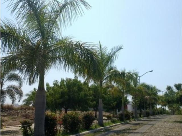 Terreno en venta en Lomas de Santa Elena, Colima, Colima