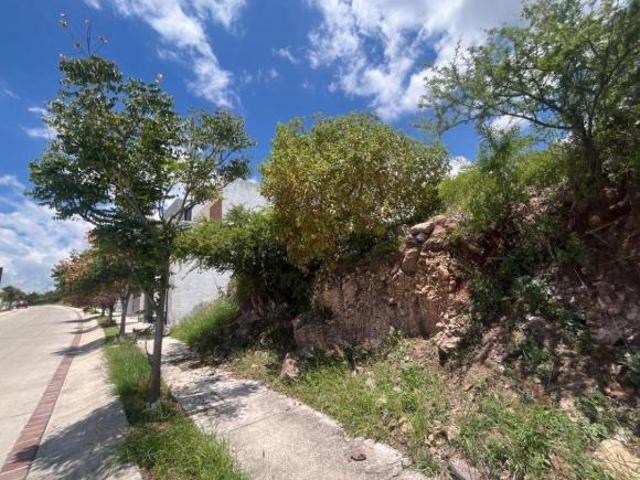 TERRENO EN VENTA EN LOMAS PUNTA DEL ESTE COTO PUNTA ROBLE