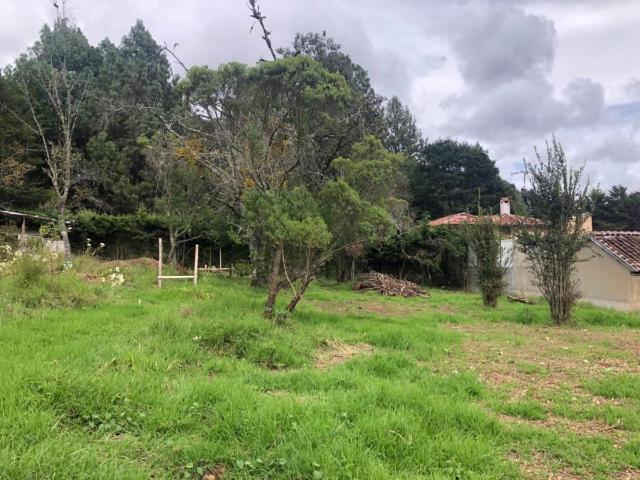Terreno en venta en Los Alcanfores, San Cristóbal de las Casas, Chiapas