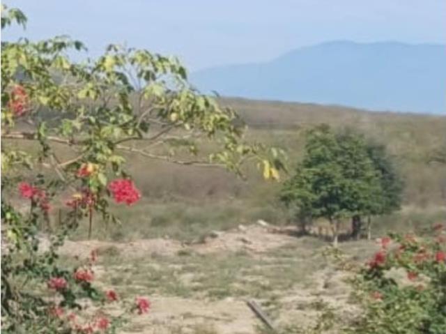 Terreno en venta en Los Asmoles, Colima, Colima