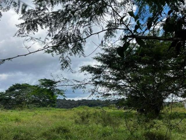 Terreno en Venta en los Arenales Xalapa Veracruz