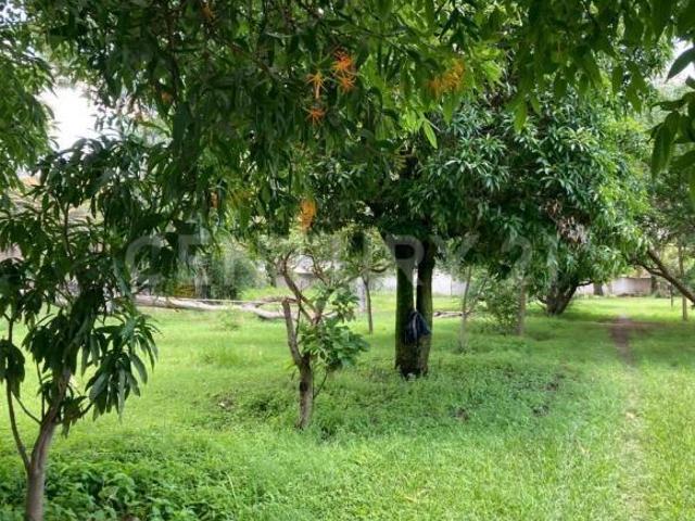 Terreno En Venta En Los Cajetes