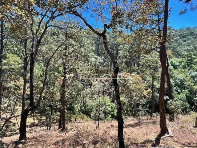 TERRENO EN VENTA EN LOS CAZOS, MAZAMITLA, JALISCO