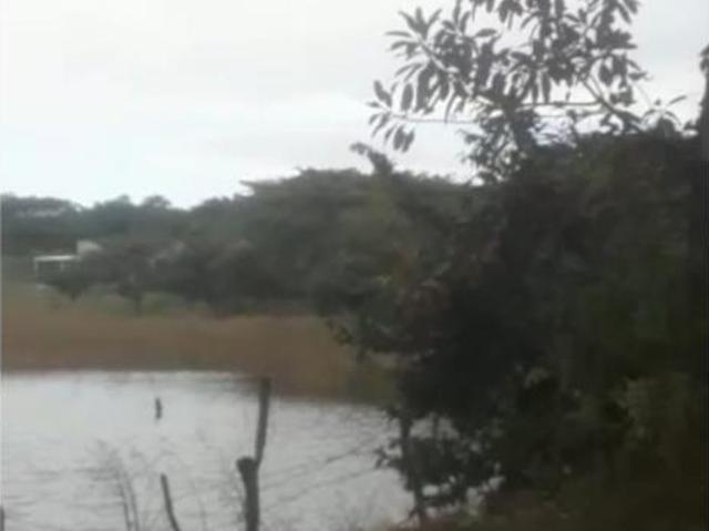 Terreno en venta en Los Colomos, Comala, Colima
