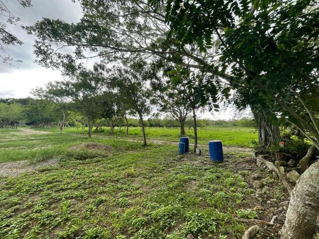 Terreno en Venta en Los Ejidos Tampico Alto Ver