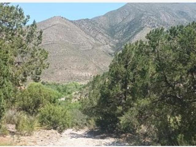 Terreno en Venta en Los Lirios, Arteaga, Coahuila de Zaragoza