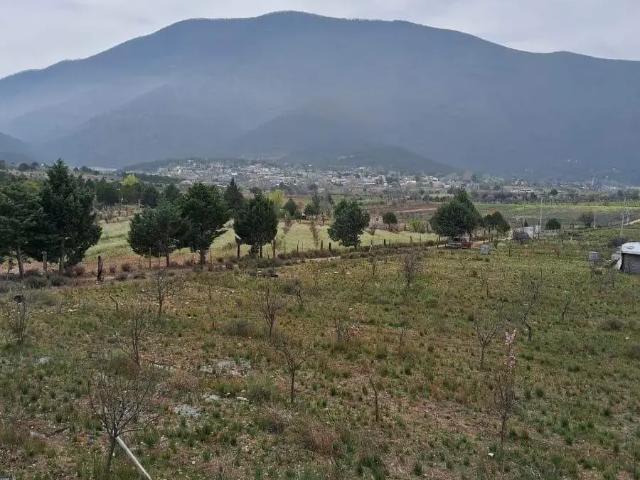 Terreno en venta en Los Lirios, Arteaga, Coahuila de Zaragoza