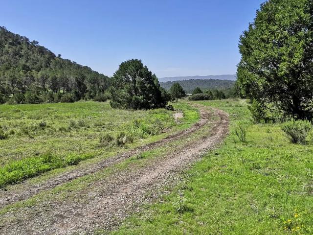 Terreno en venta en Los Llanos, Arteaga, Coahuila de Zaragoza