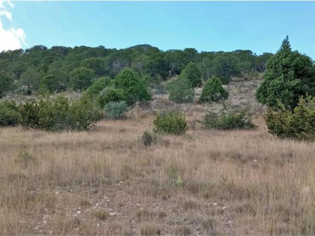 Terreno en venta en Los Llanos, Arteaga, Coahuila de Zaragoza