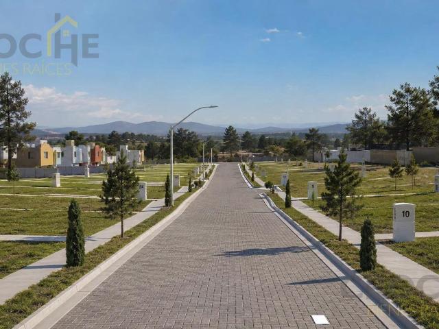TERRENO EN VENTA EN LOS MOLINOS, PEROTE, VERACRUZ