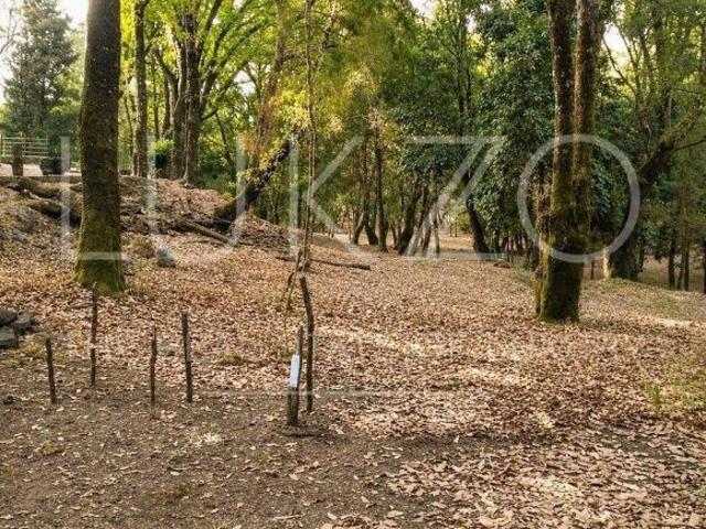 Terreno en venta en Los Ocotes, Tepoztlan