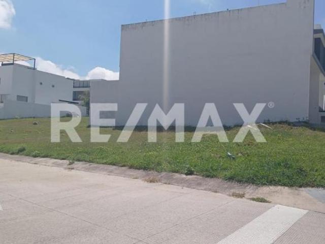 Terreno en Venta en Los Robles 4