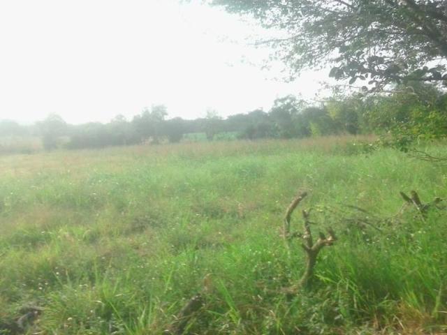 Terreno en venta en Puente de Ixtla Centro, Puente de Ixtla, Morelos