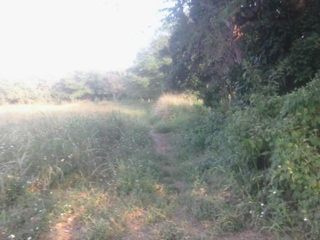 Terreno en venta en Puente de Ixtla Centro, Puente de Ixtla, Morelos