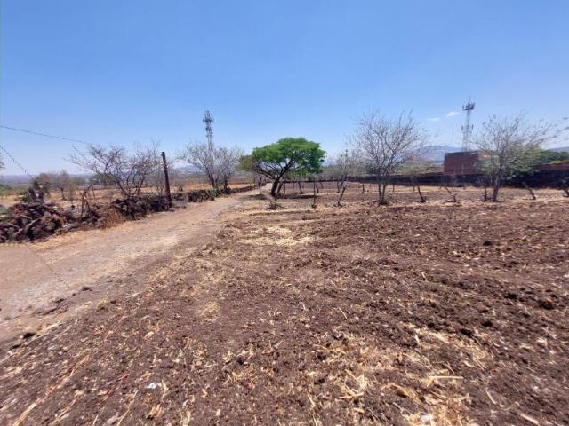 Terreno en venta en Puente Grande, Tonalá, Jalisco