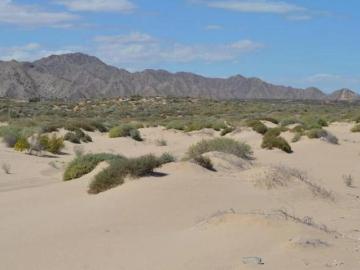 Terreno en Venta en Punta Diggs Baja California