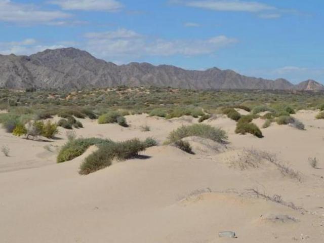 Terreno en Venta en Punta Diggs Baja California