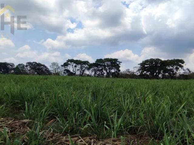 Terreno en venta en Pacho Nuevo 4 Hectáreas