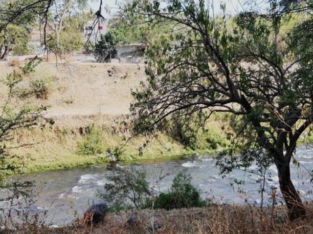Terreno en venta en Pablo Torres Burgos, Cuautla, Morelos