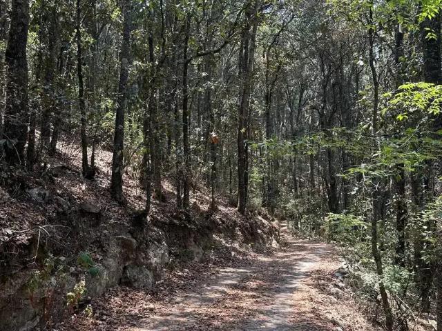 Terreno en venta en Palos Altos, Epitacio Huerta, Michoacán de Ocampo