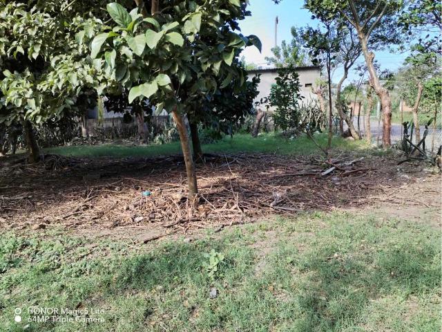 Terreno en venta en Paso Colorado, Boca del Río, Veracruz de Ignacio de la Llave