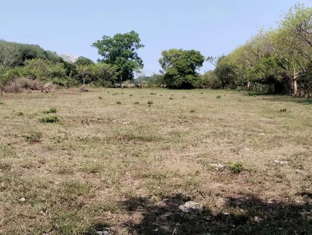 Terreno en venta en Paso Colorado, Medellín de Bravo, Veracruz de Ignacio de la Llave