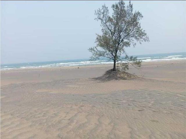 Terreno en venta en Paso de Doña Juana, Úrsulo Galván, Veracruz de Ignacio de la Llave