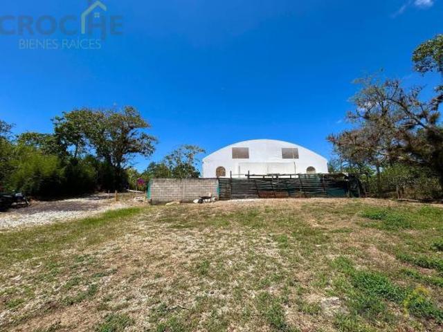 TERRENO EN VENTA EN PASO LADRILLO, MUNICIPIO DE EMILIANO ZAPATA VERACRUZ